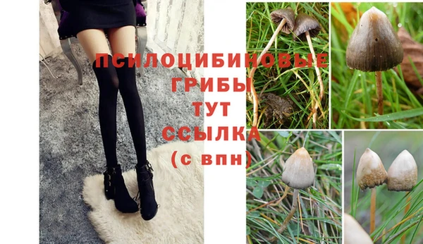молекула духа Тавда