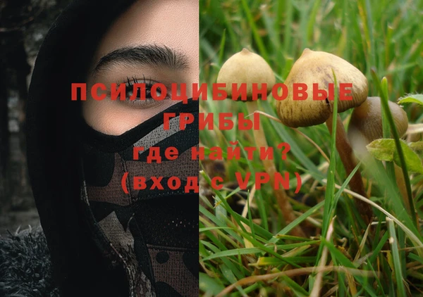 молекула духа Тавда