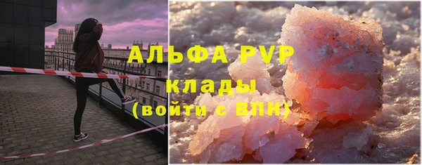 стафф Сясьстрой