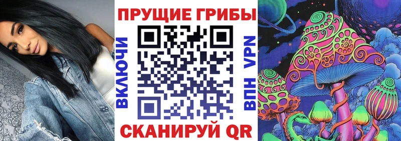 Купить закладки  Каргат  Псилоцибиновые грибы Psilocybe 